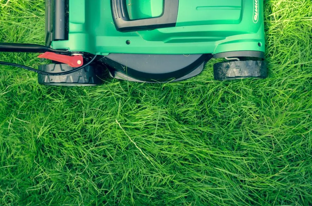 Garden Clean Ups deceased estate support